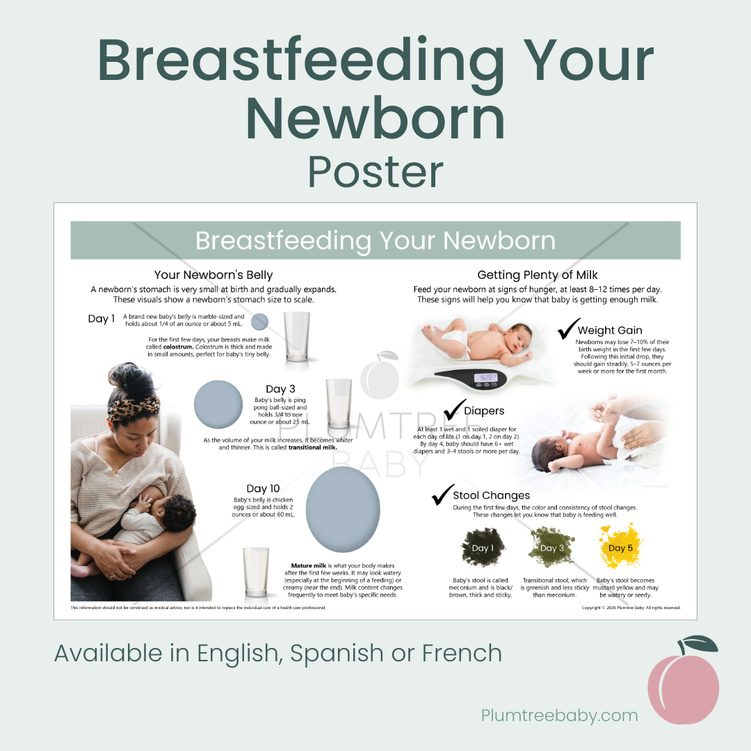 Breastfeeding Your Newborn Poster-Poster-Plumtree Baby