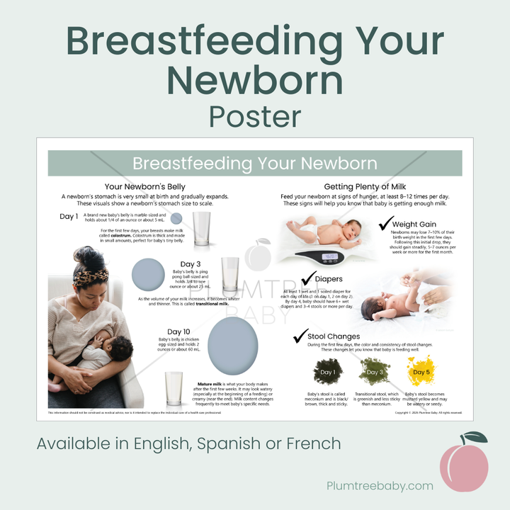 Breastfeeding Your Newborn Poster-Poster-Plumtree Baby