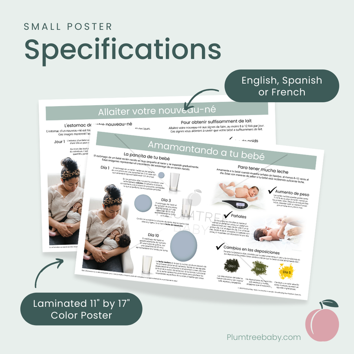 Breastfeeding Your Newborn Poster-Poster-Plumtree Baby