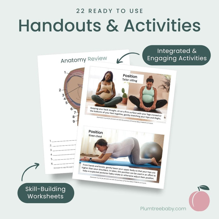Childbirth Curriculum-Instructor Resource-Plumtree Baby