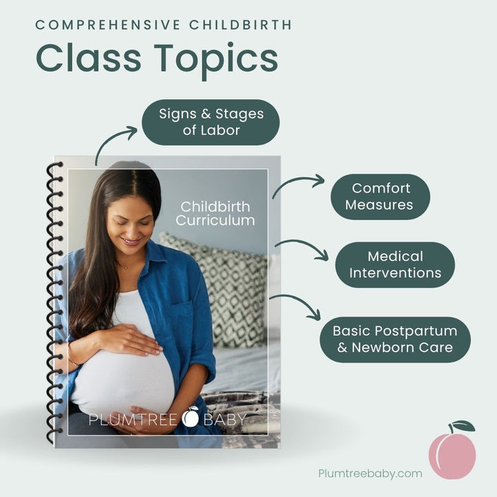 Childbirth Curriculum-Instructor Resource-Plumtree Baby