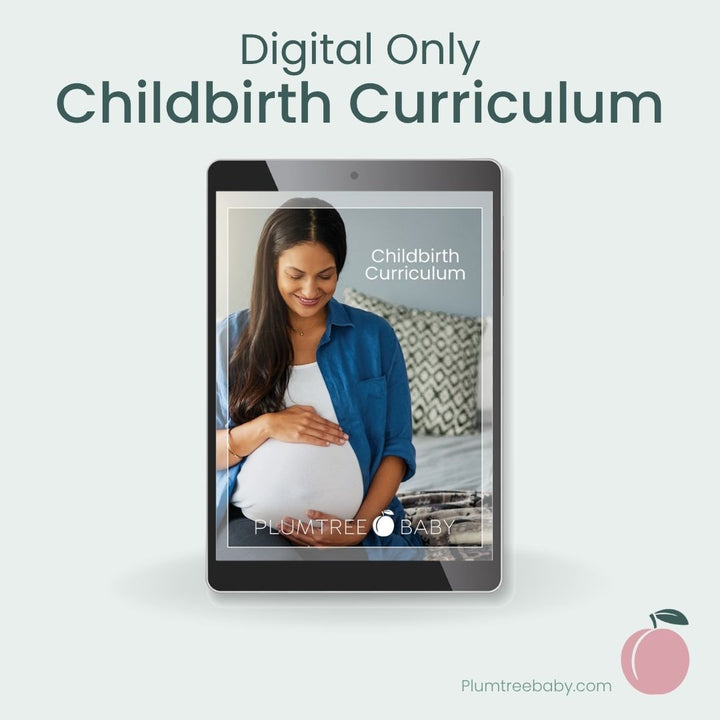 Childbirth Curriculum-Instructor Resource-Plumtree Baby