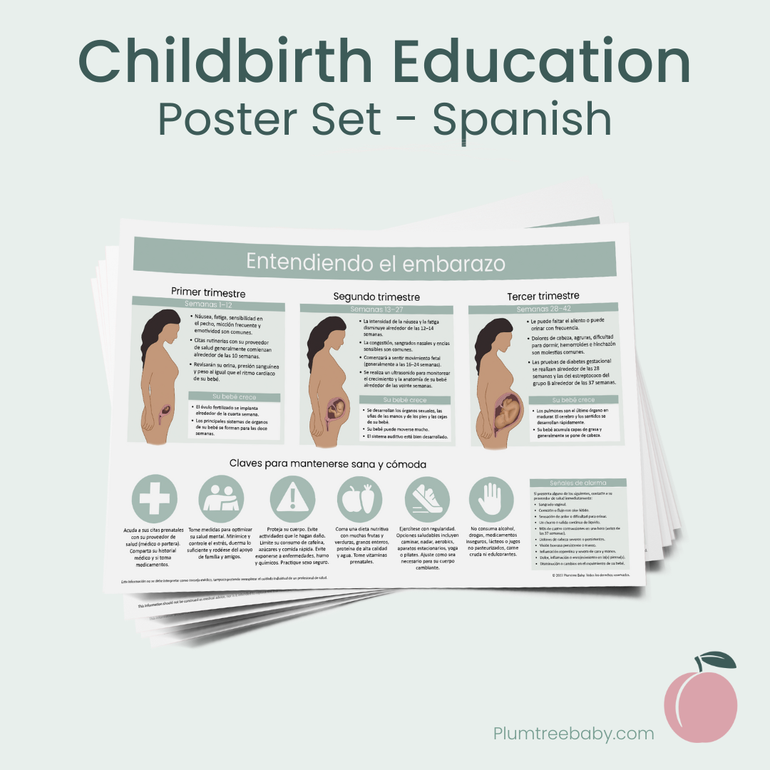Childbirth Education Poster Set-Poster-Plumtree Baby