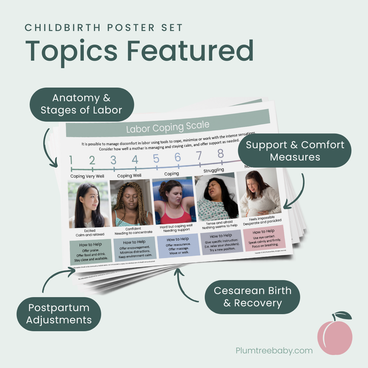Childbirth Education Poster Set-Poster-Plumtree Baby