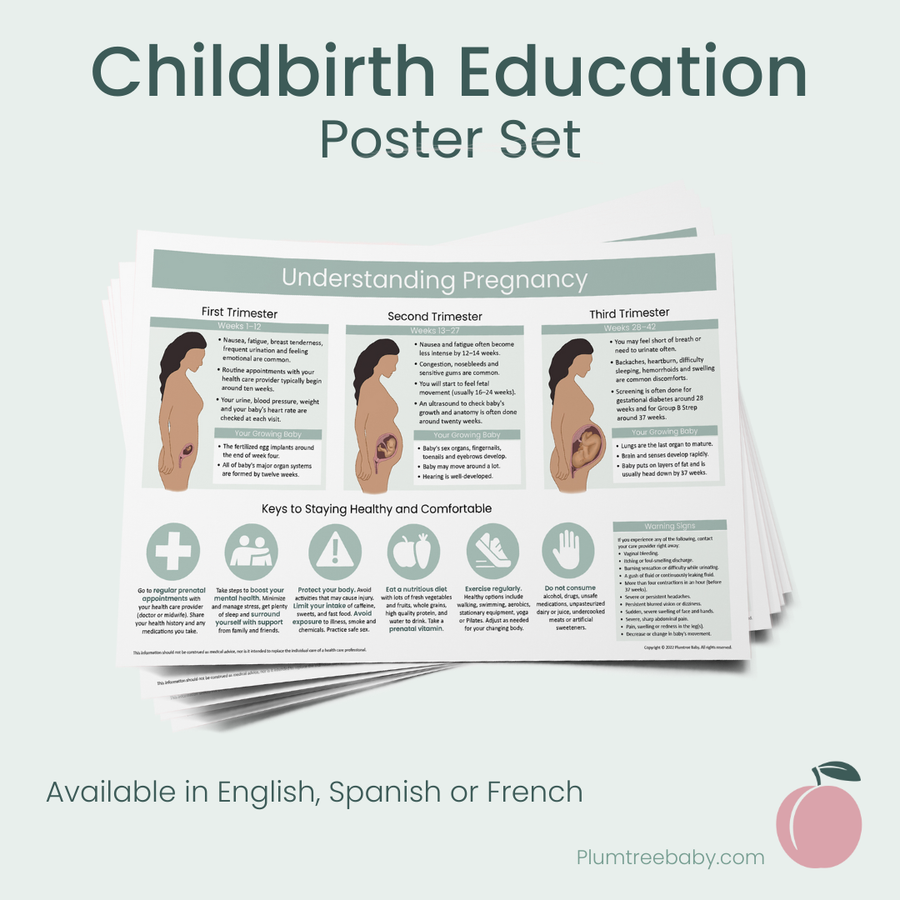 Childbirth Education Poster Set-Poster-Plumtree Baby