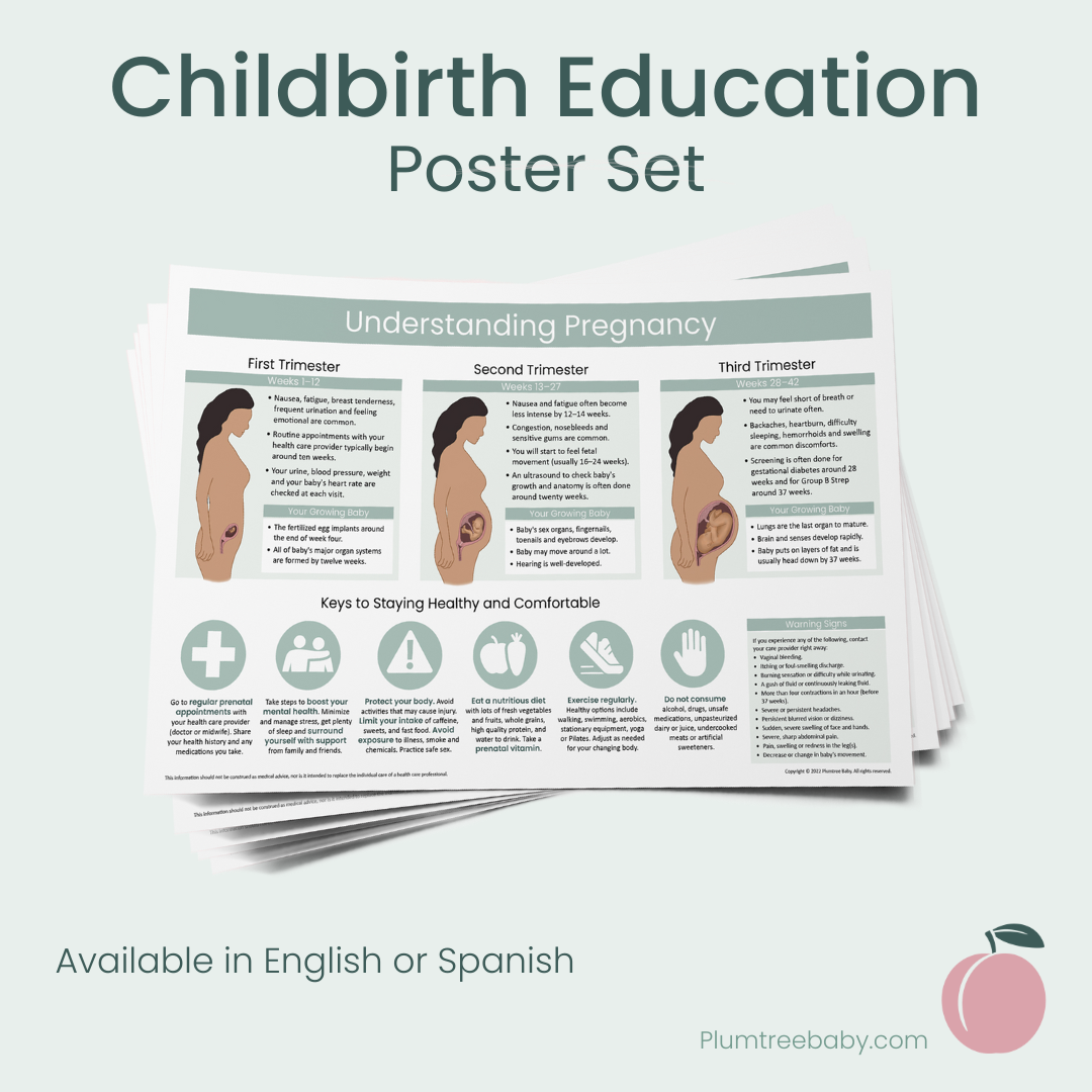 Childbirth Education Poster Set-Poster-Plumtree Baby
