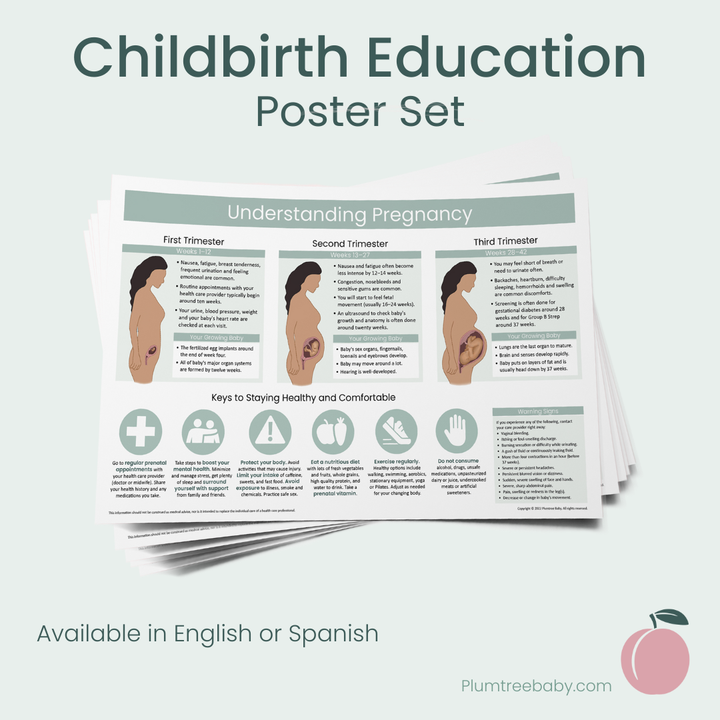Childbirth Education Poster Set-Poster-Plumtree Baby