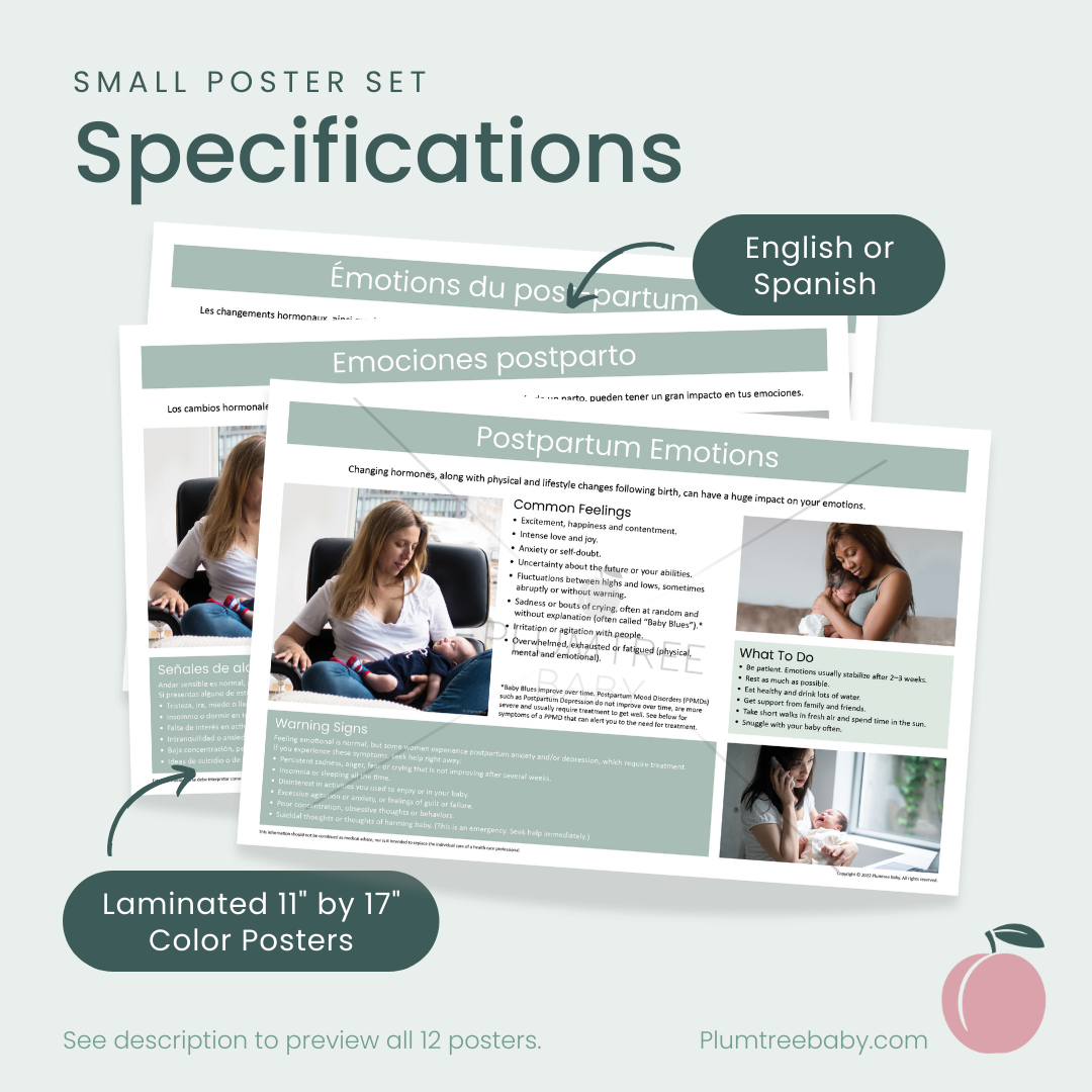 Childbirth Education Poster Set-Poster-Plumtree Baby