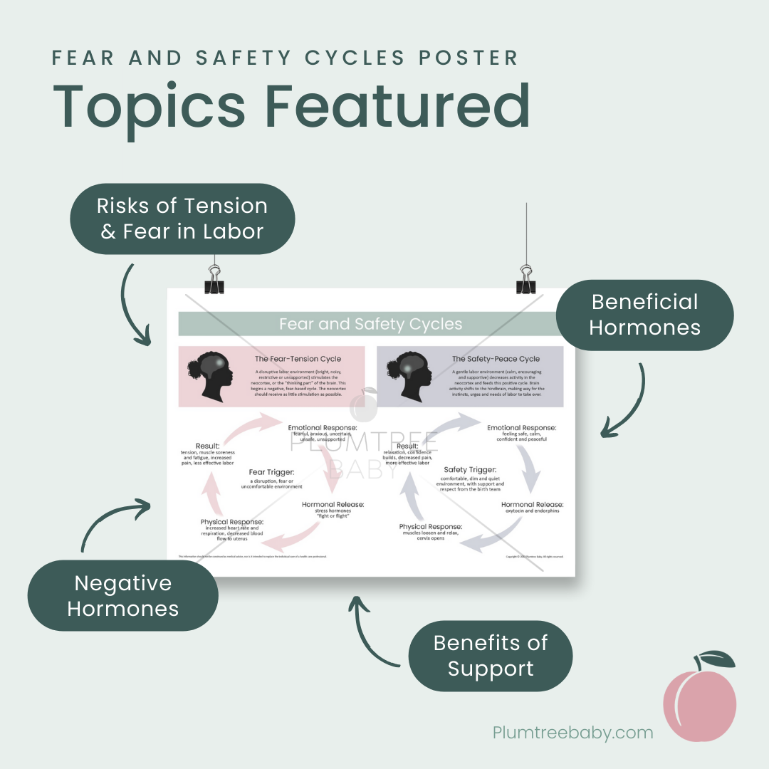Fear and Safety Cycles Poster-Poster-Plumtree Baby