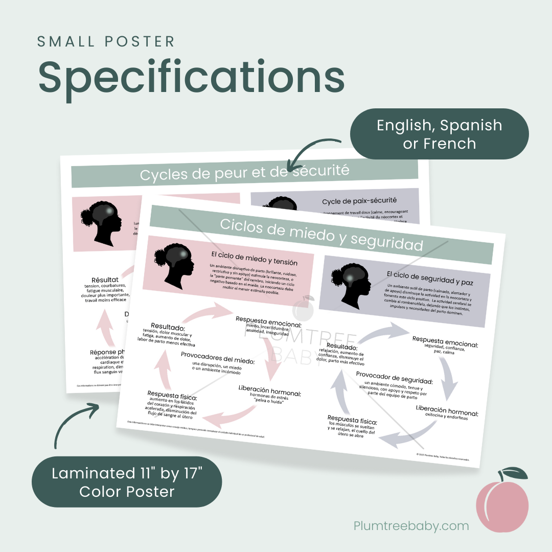 Fear and Safety Cycles Poster-Poster-Plumtree Baby