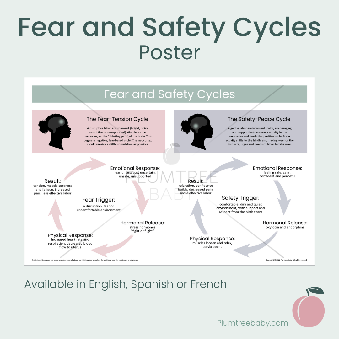Fear and Safety Cycles Poster-Poster-Plumtree Baby