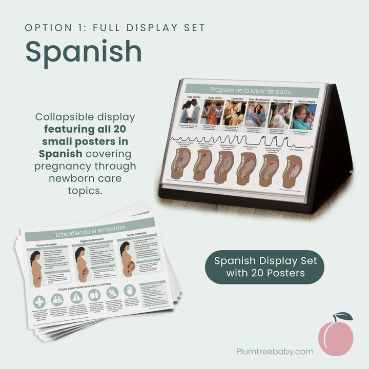 Desktop Poster Display-Poster-Plumtree Baby