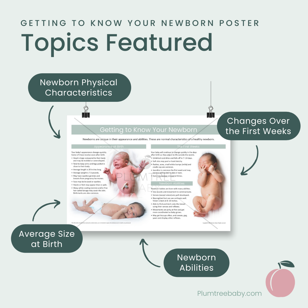 Getting to Know Your Newborn Poster-Poster-Plumtree Baby
