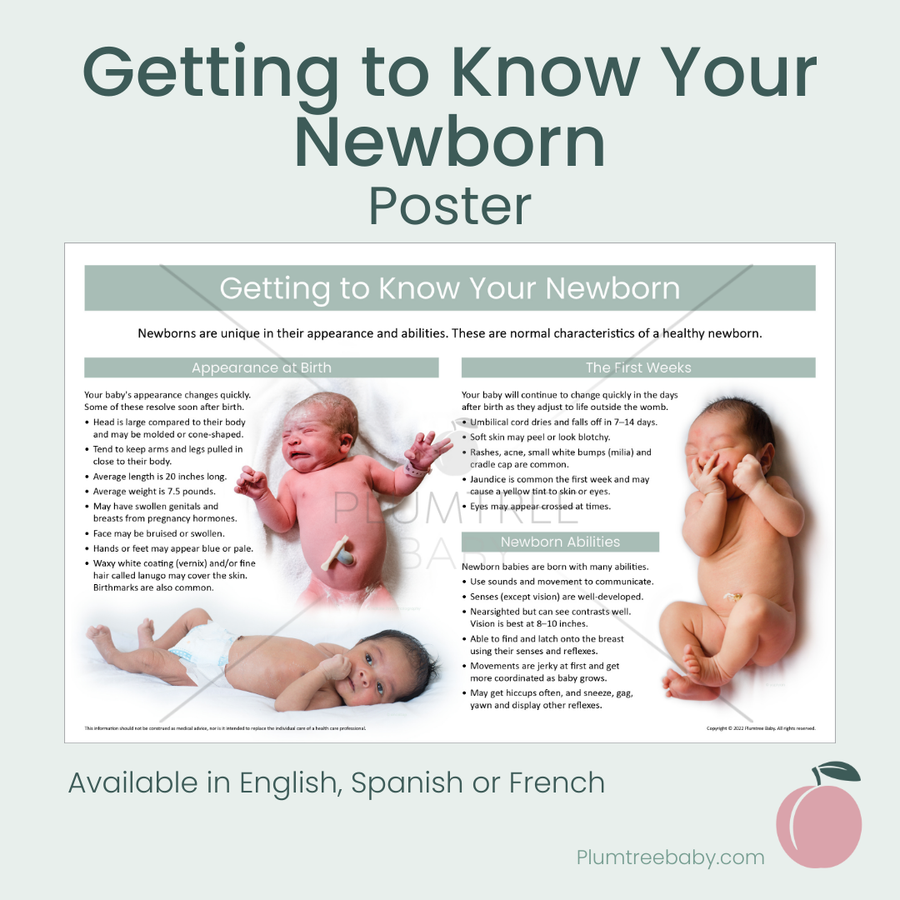 Getting to Know Your Newborn Poster-Poster-Plumtree Baby