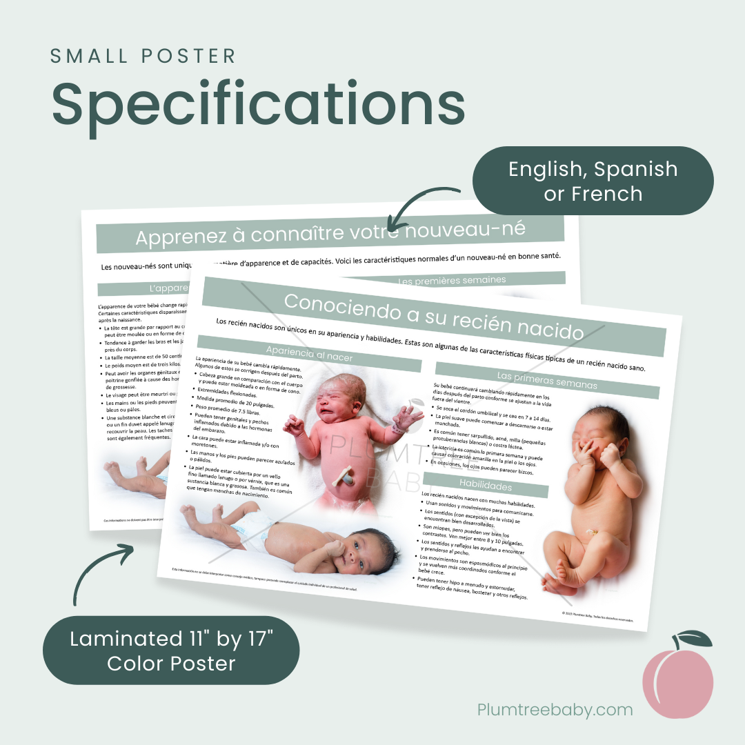 Getting to Know Your Newborn Poster-Poster-Plumtree Baby