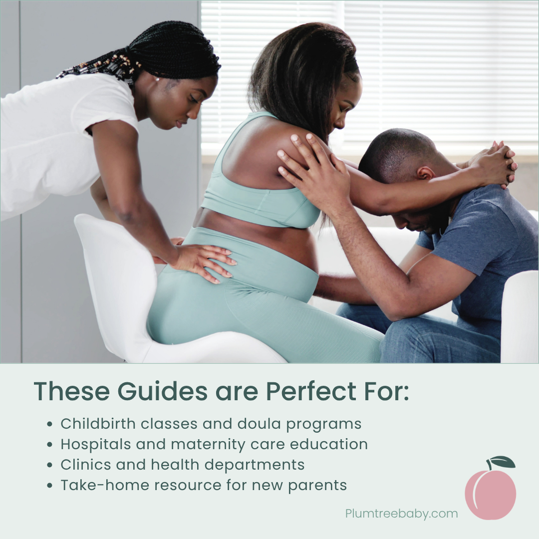 Labor Support Quick Reference Guides - Pack of 50-Handout-Plumtree Baby