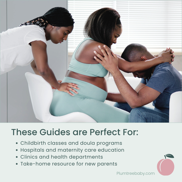 Labor Support Quick Reference Guides - Pack of 50-Handout-Plumtree Baby