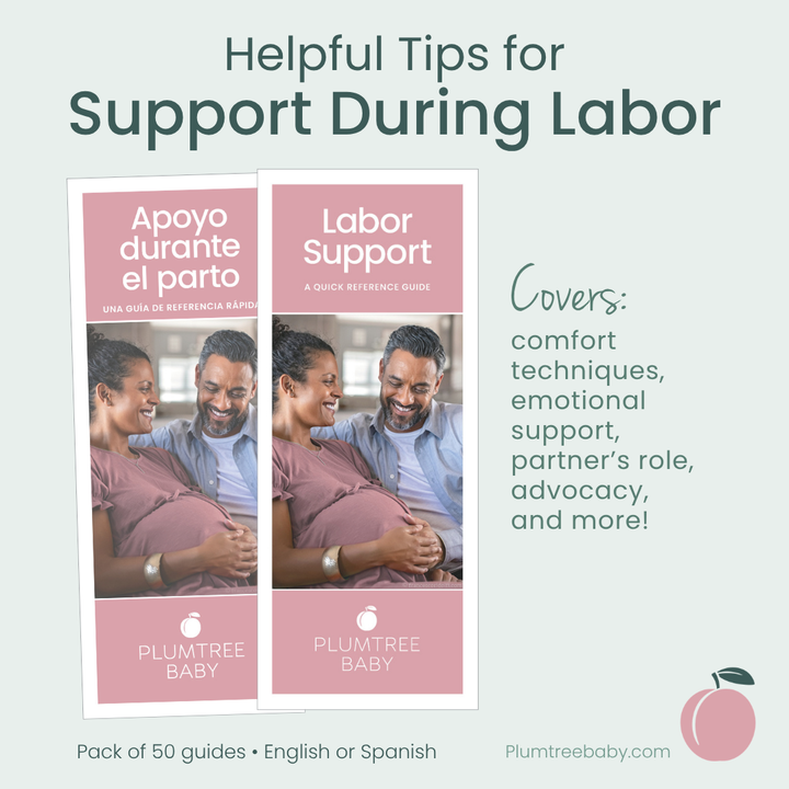 Labor Support Quick Reference Guides - Pack of 50-Handout-Plumtree Baby