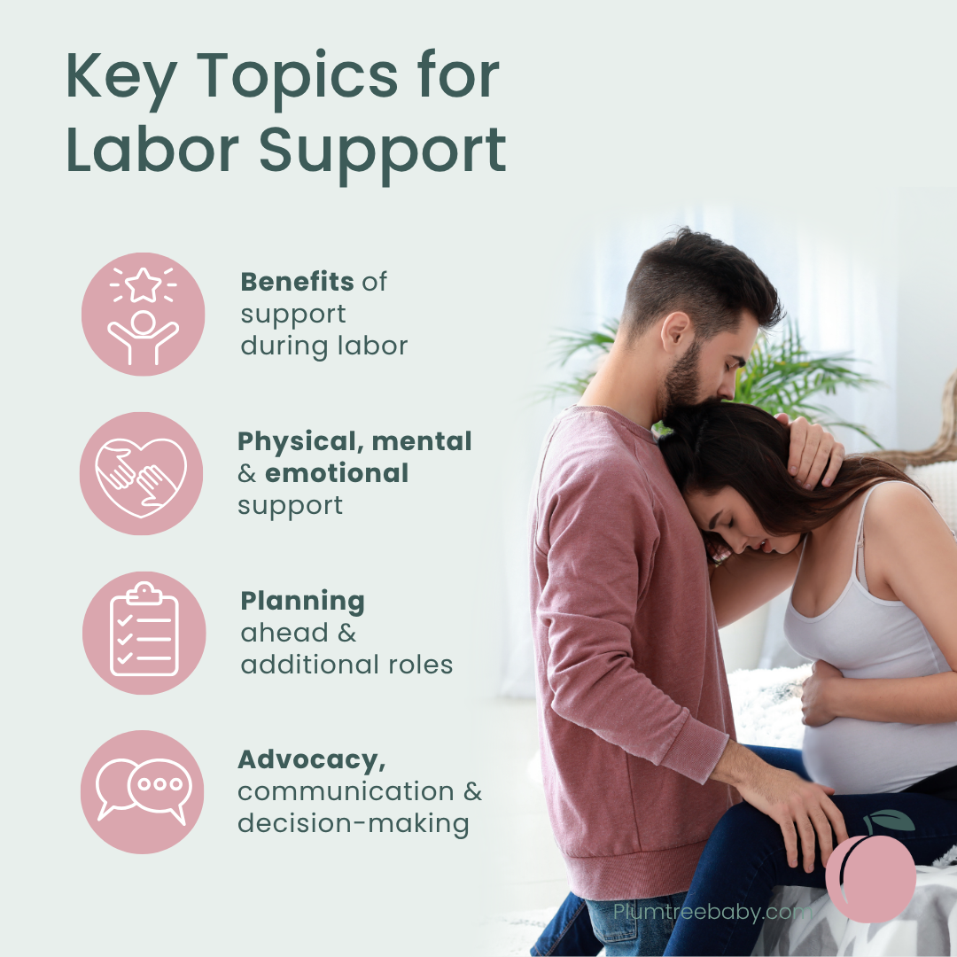 Labor Support Quick Reference Guides - Pack of 50-Handout-Plumtree Baby