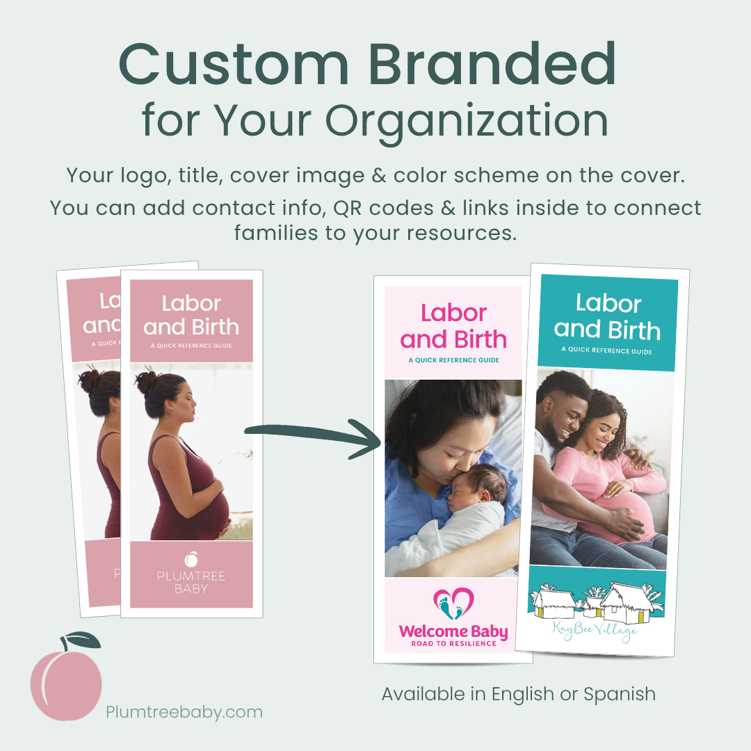 Labor and Birth Reference Guides - Branded-Handout-Plumtree Baby