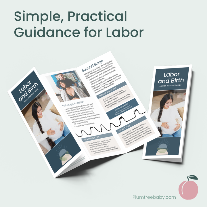Labor and Birth Reference Guides - Branded