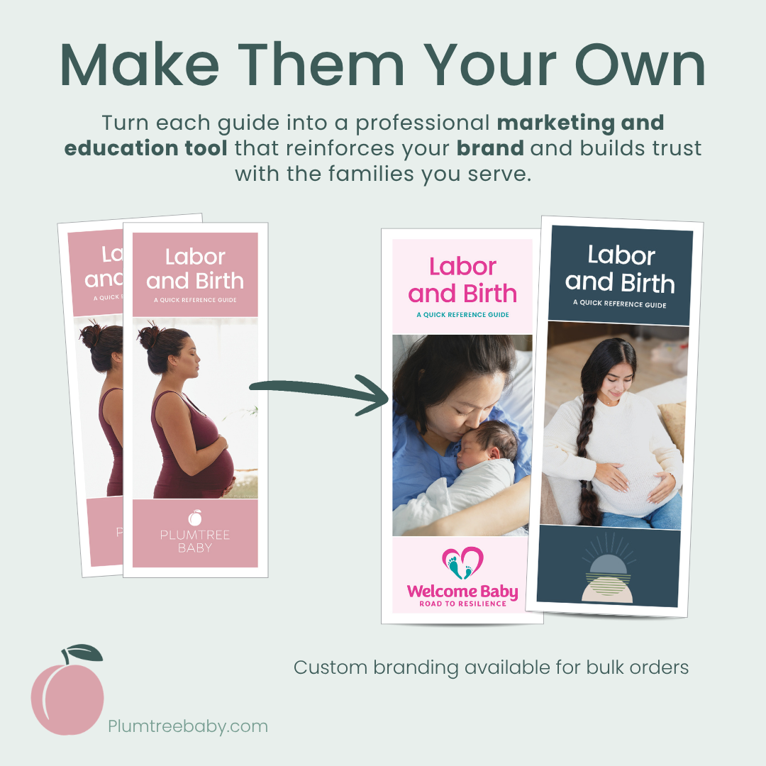 Labor and Birth Quick Reference Guides - Pack of 50-Handout-Plumtree Baby
