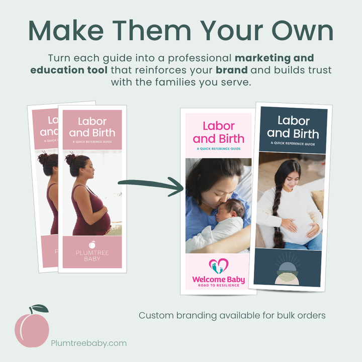 Labor and Birth Quick Reference Guides - Pack of 50-Handout-Plumtree Baby