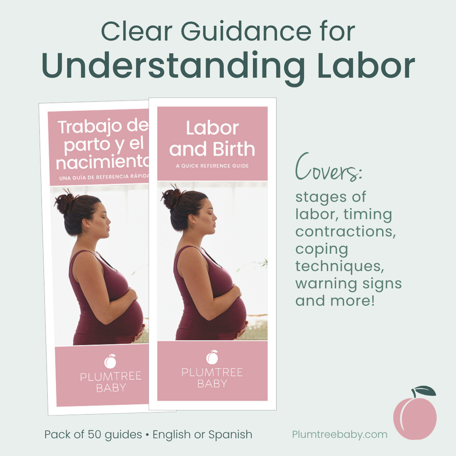 Labor and Birth Quick Reference Guides - Pack of 50-Handout-Plumtree Baby