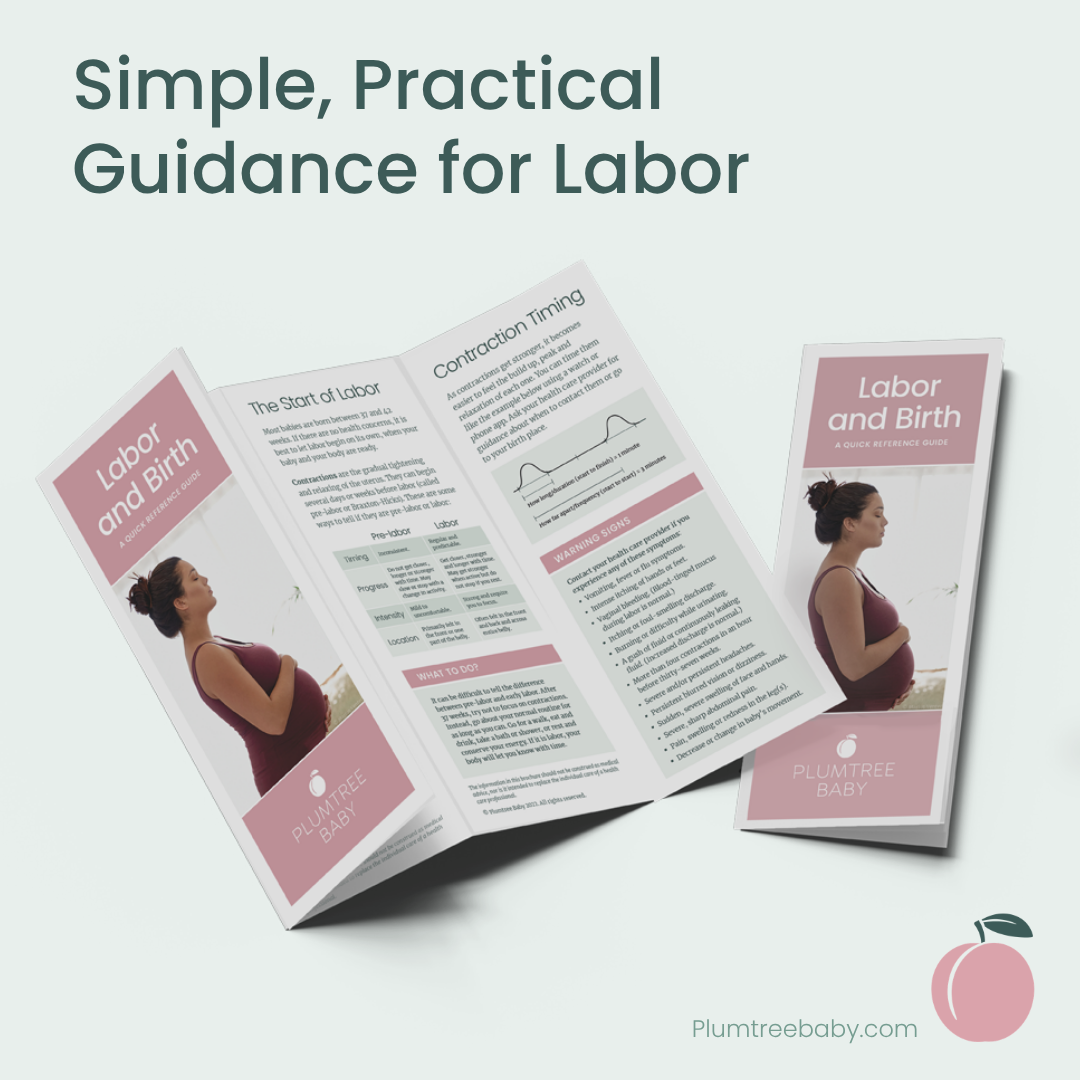 Labor and Birth Quick Reference Guides - Pack of 50-Handout-Plumtree Baby