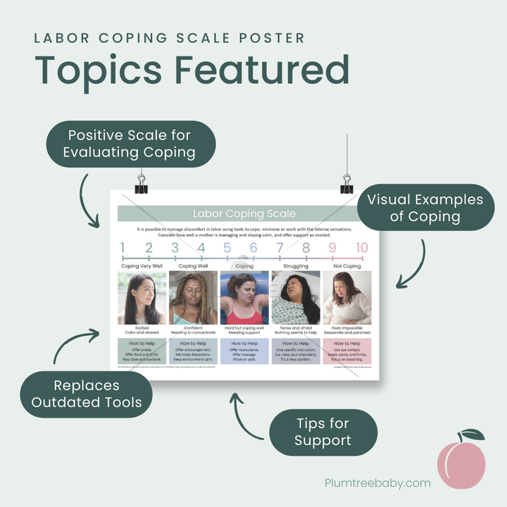 Labor Coping Scale Poster-Poster-Plumtree Baby