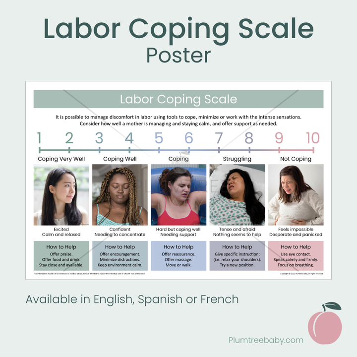 Labor Coping Scale Poster-Poster-Plumtree Baby