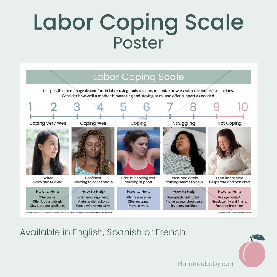Labor Coping Scale Poster-Poster-Plumtree Baby