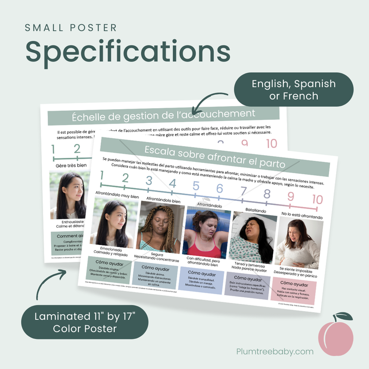 Labor Coping Scale Poster-Poster-Plumtree Baby