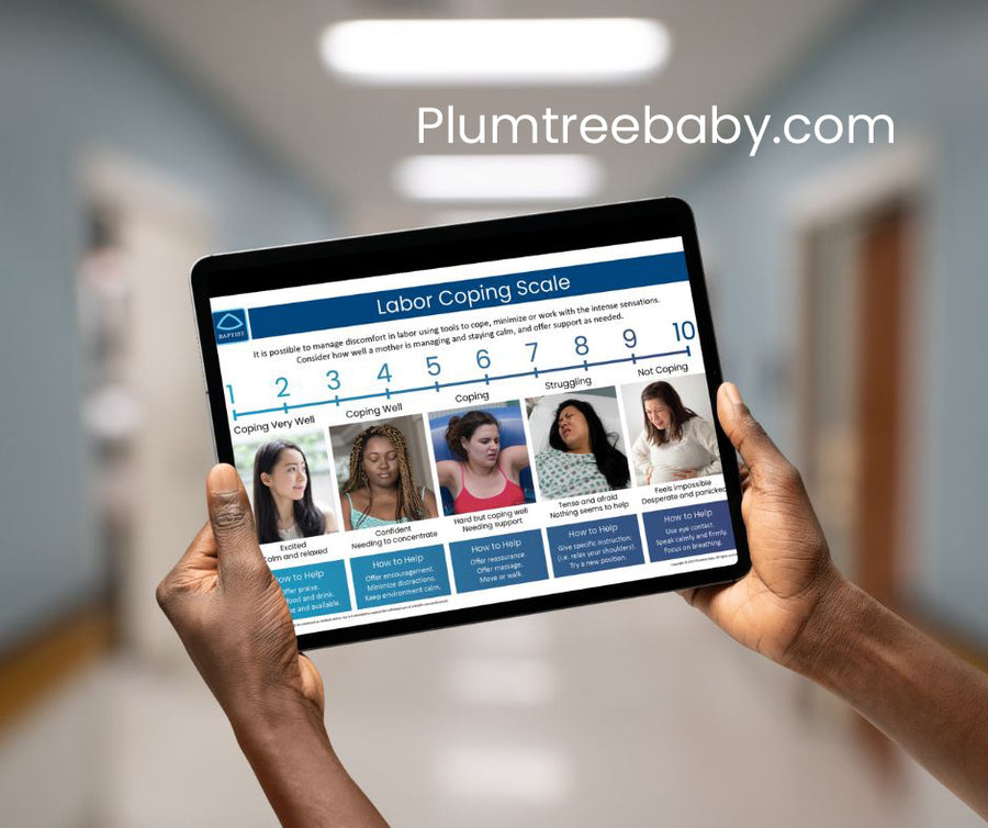 Labor Coping Scale Digital License-Book-Plumtree Baby