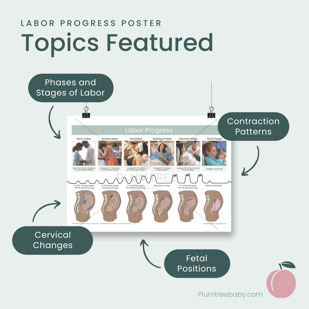 Labor Progress Poster-Poster-Plumtree Baby