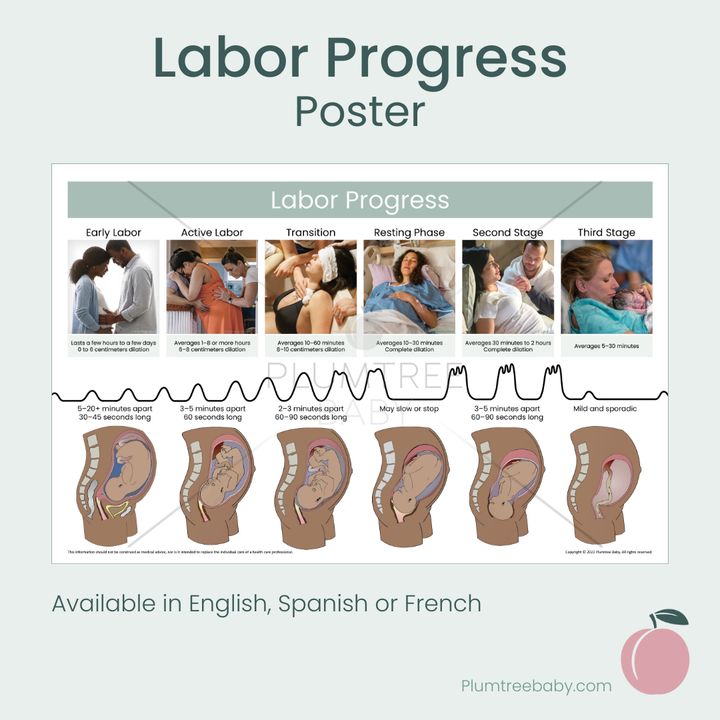 Labor Progress Poster-Poster-Plumtree Baby