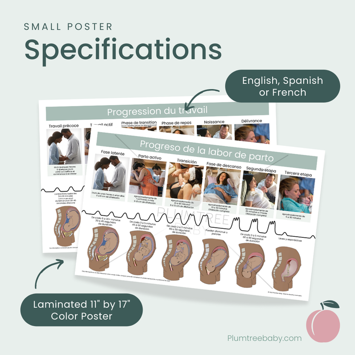 Labor Progress Poster-Poster-Plumtree Baby