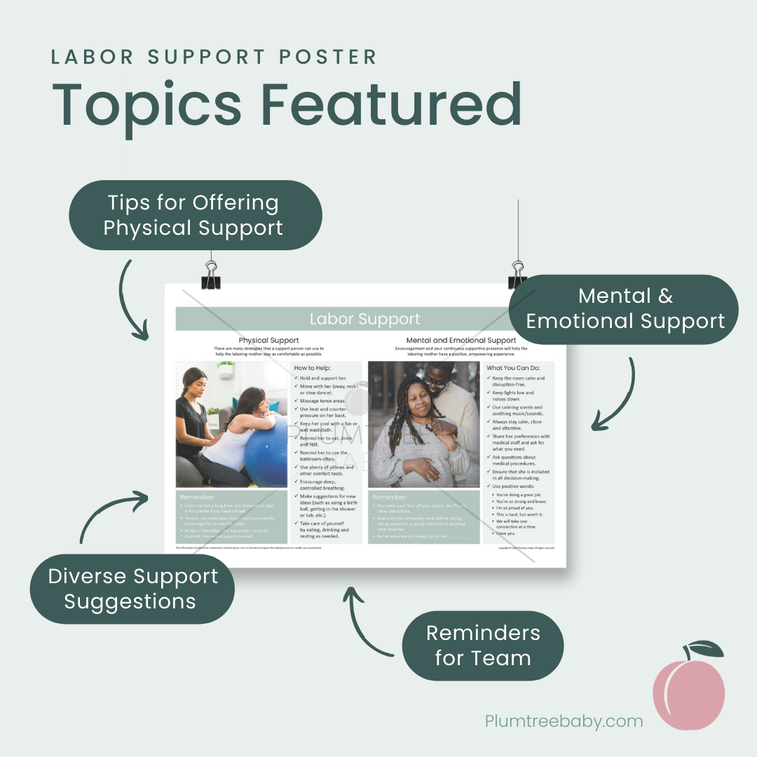 Labor Support Poster-Poster-Plumtree Baby