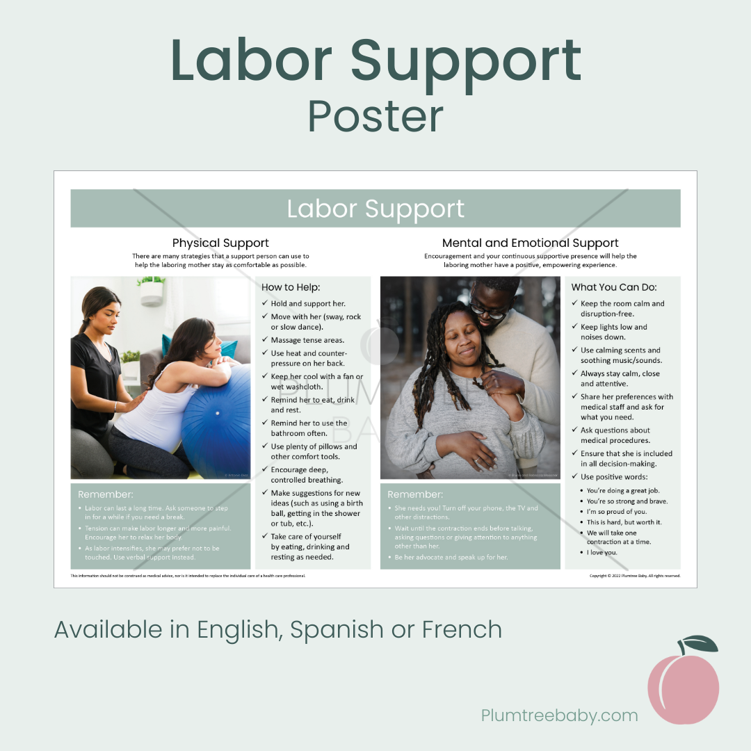 Labor Support Poster-Poster-Plumtree Baby