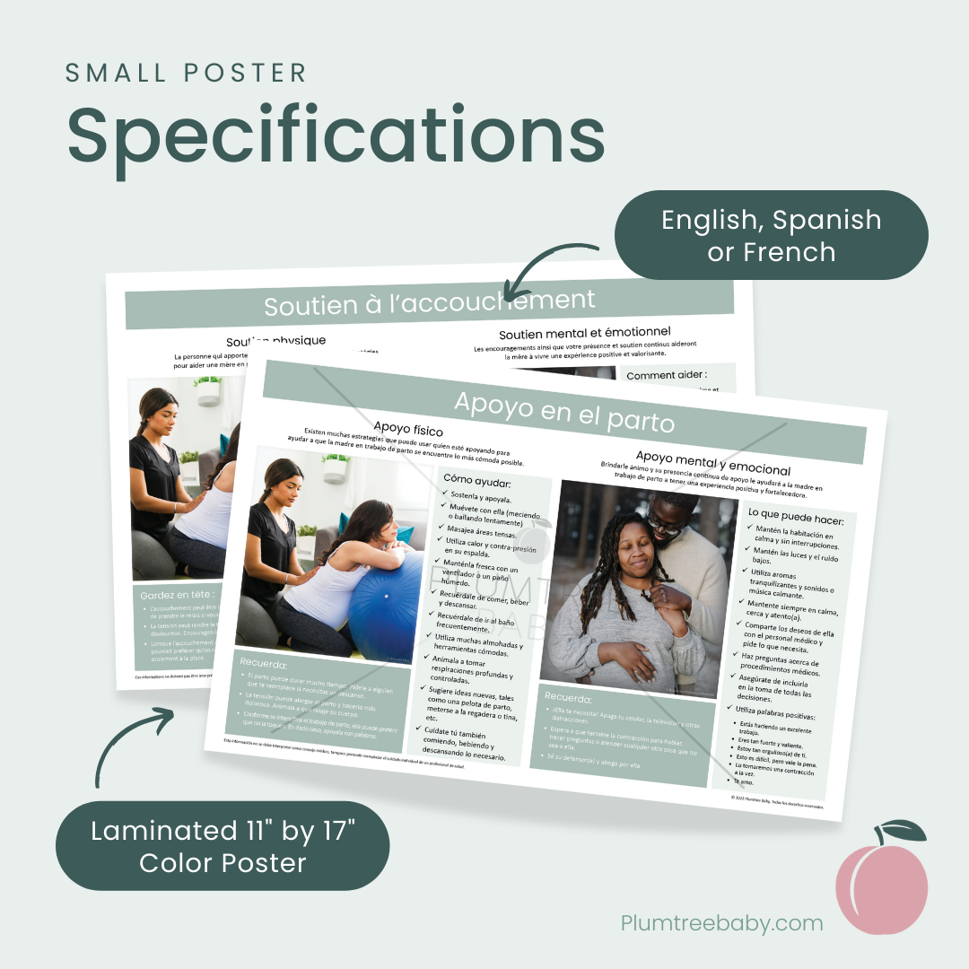 Labor Support Poster-Poster-Plumtree Baby