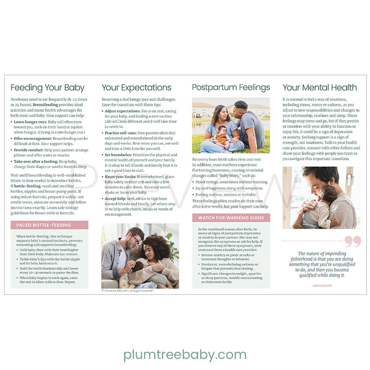 Becoming a New Dad Quick Reference Guides - Pack of 50-Handout-Plumtree Baby