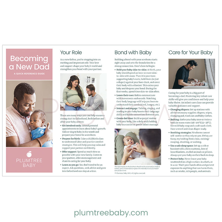 Becoming a New Dad Quick Reference Guides - Pack of 50-Handout-Plumtree Baby