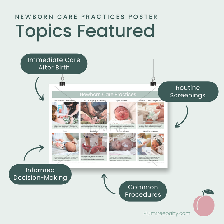 Newborn Care Practices Poster-Poster-Plumtree Baby