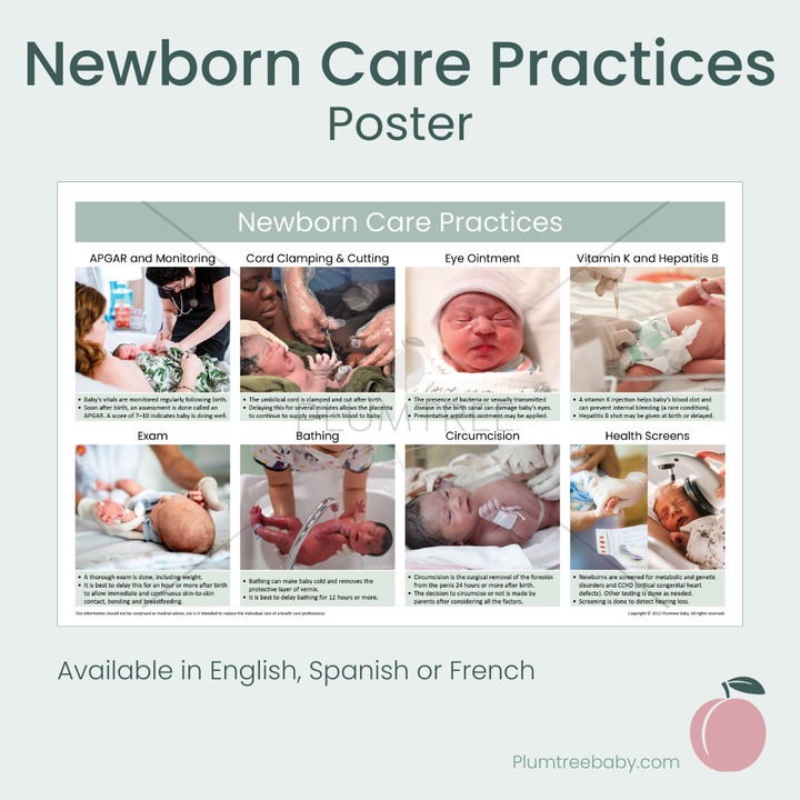 Newborn Care Practices Poster-Poster-Plumtree Baby
