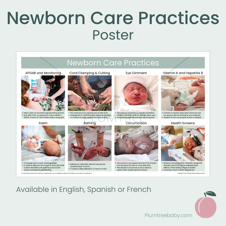 Newborn Care Practices Poster-Poster-Plumtree Baby