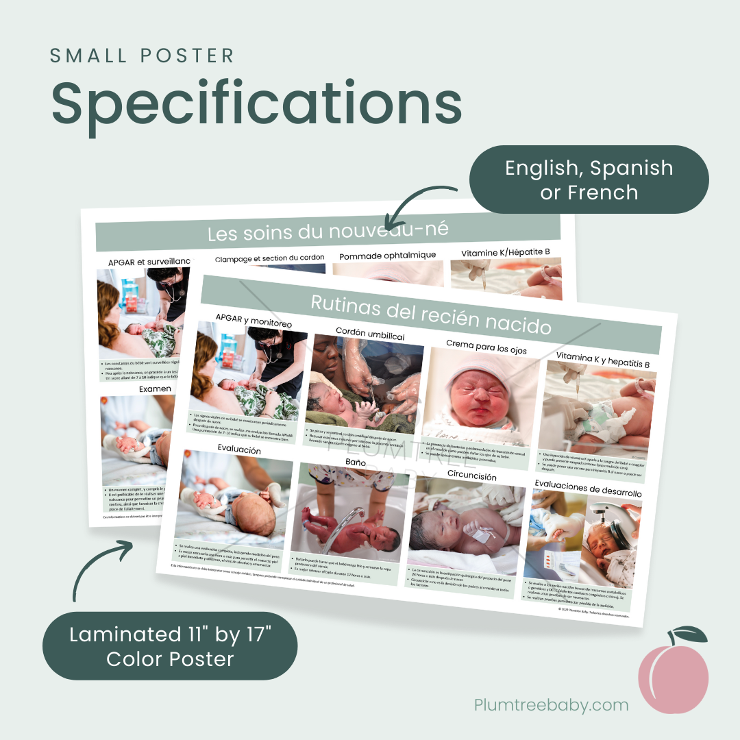 Newborn Care Practices Poster-Poster-Plumtree Baby