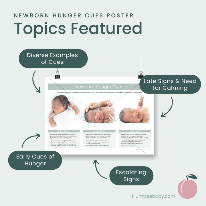 Newborn Hunger Cues Poster-Poster-Plumtree Baby