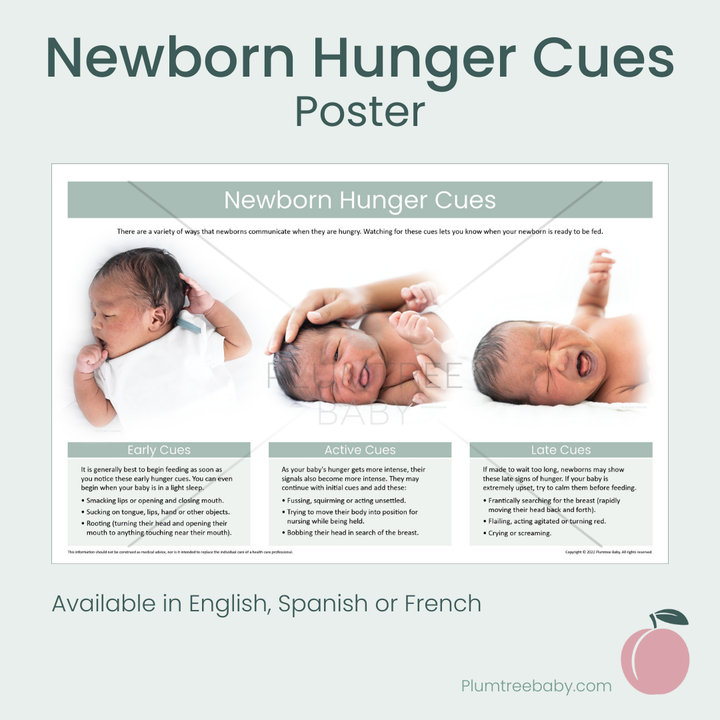 Newborn Hunger Cues Poster-Poster-Plumtree Baby