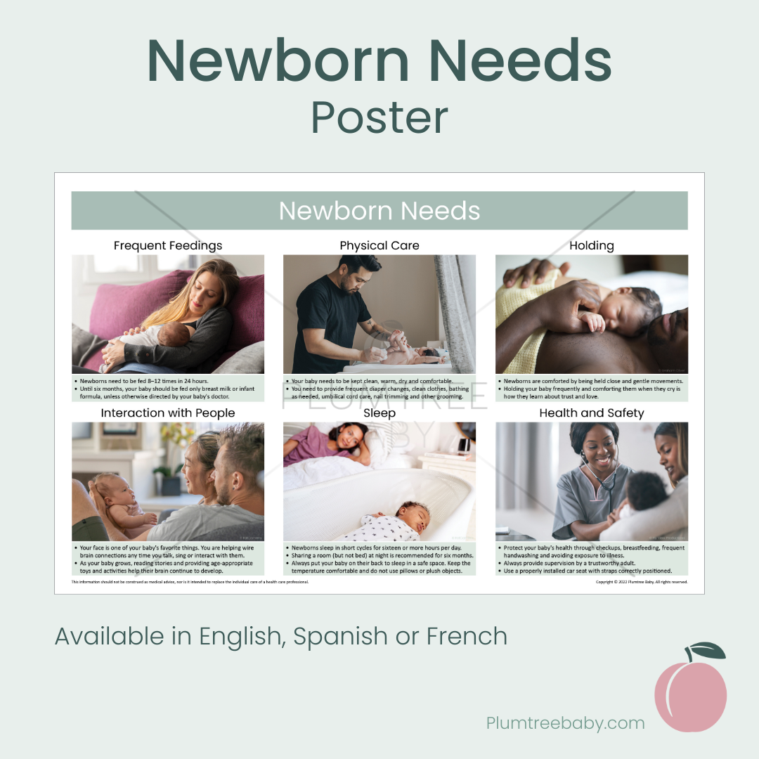 Newborn Needs Poster-Poster-Plumtree Baby