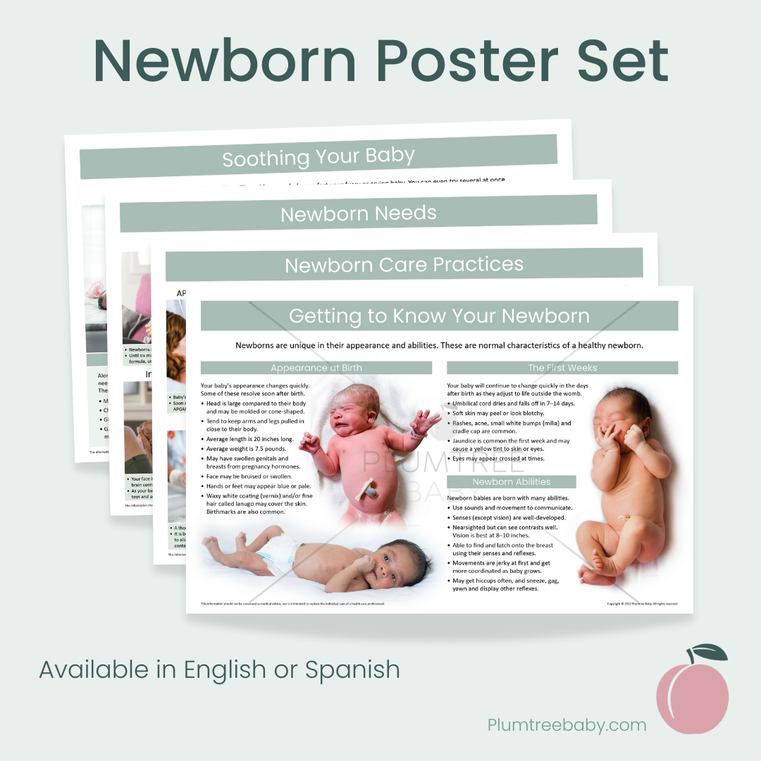 Newborn Poster Set-Poster-Plumtree Baby